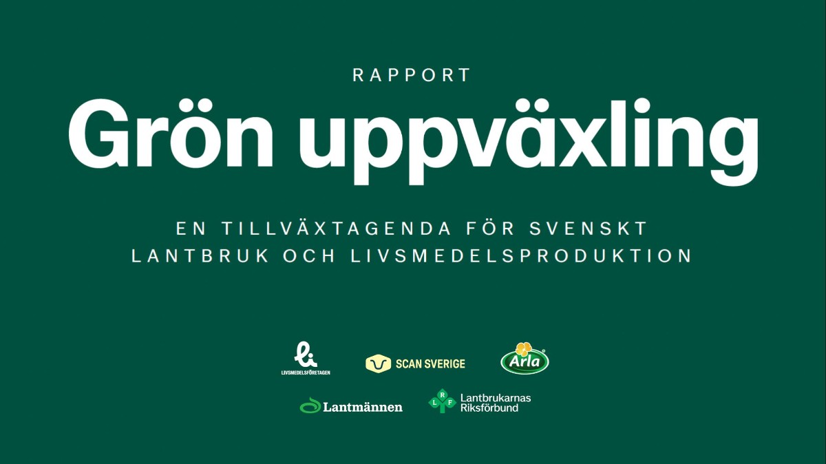 Ny rapport: Så kan Sveriges livsmedelsproduktion växa i en osäker tid 