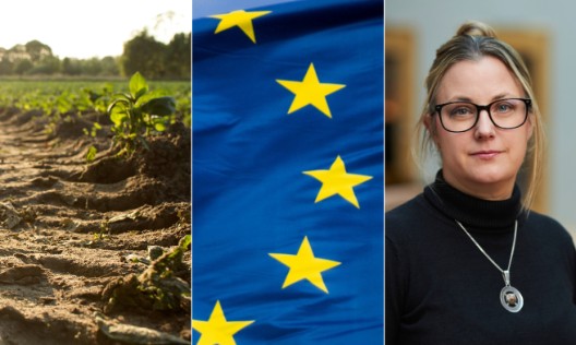 Ansvarsfull restaureringsplan ger utrymme för både natur och livsmedelsproduktion  